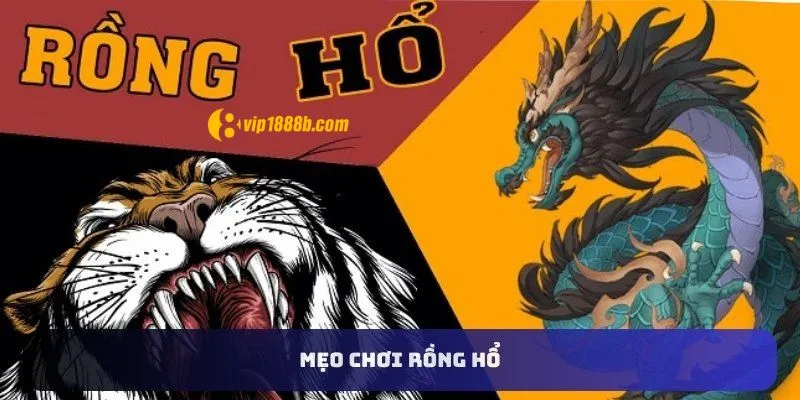 Mẹo chơi rồng hổ