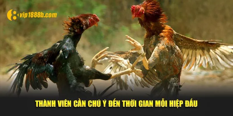 Thành viên cần chú ý đến thời gian mỗi hiệp đấu