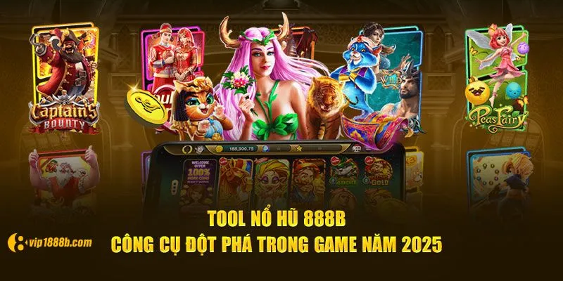 Tool nỗ hủ